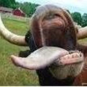 Meet your Posher, Freida